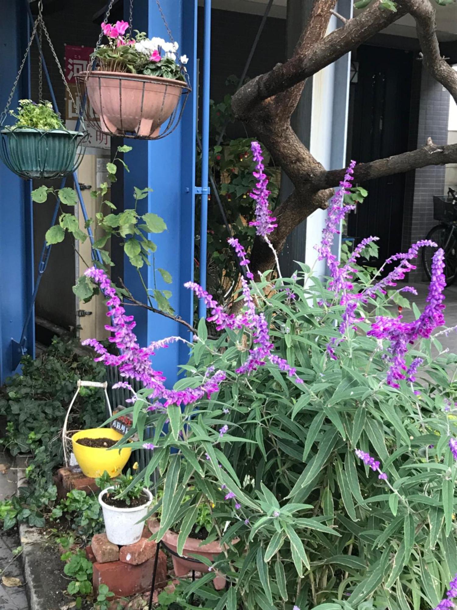 Sadie'S Home Komae Zewnętrze zdjęcie
